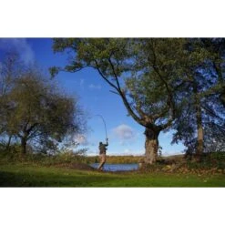 Shimano Carp Tribal TX Ultra A 13ft 3.50LB Intensité -Westin Soldes DSC03670 550x550w 1