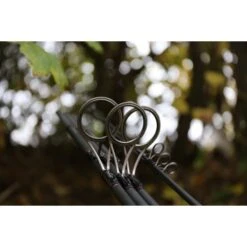 Shimano Carpe Intensité TX-2 12ft 3.66m 3.50lb -Westin Soldes IMG 1534 550x550w